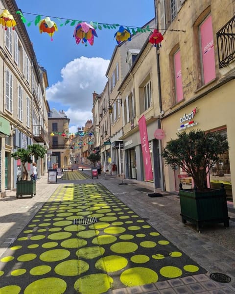 Magnifique F4 pour 9 personnes à moulins Apartment in Moulins