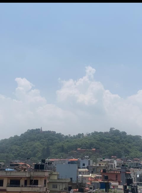 Day, Natural landscape, View (from property/room), City view