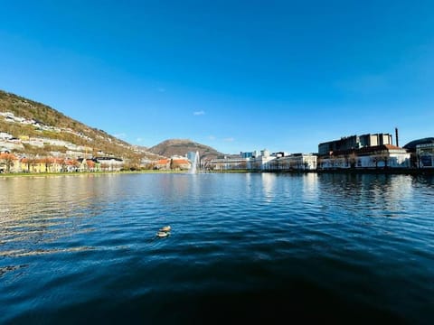 7 Soverom i hjertet av Bergen Apartment in Bergen