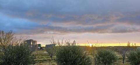 Les oliviers House in Puerto Madryn