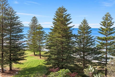 Northern Light - Perfect Location Casa in Governor Phillip Park