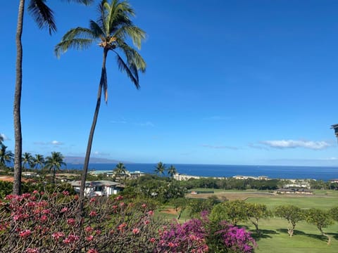 Garden, Sea view