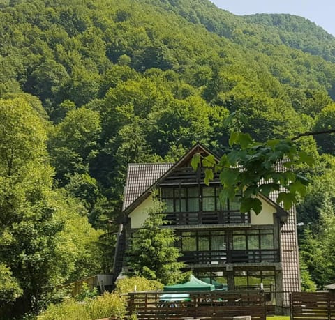 Cabana Riverdale Villa in Brașov County