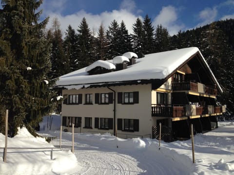 Ginseng Apartment in Davos