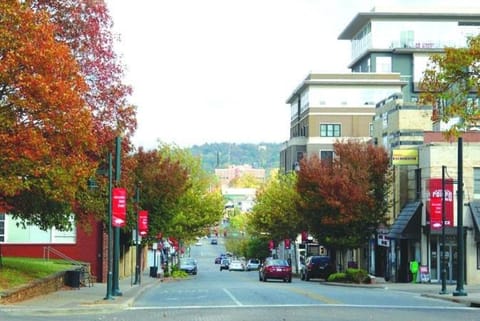 The Wildflower- Monthly Rental - Walk Everywhere Apartment in Fayetteville