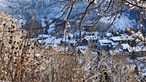 Ferienwohnung Vakantievilla-Sauerland Apartment in Winterberg