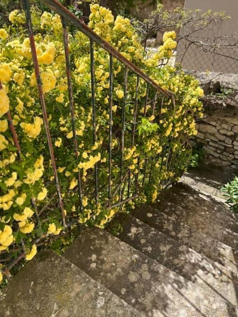 Luberon en Provence - La maison de Michèle au cœur de Goult House in Goult