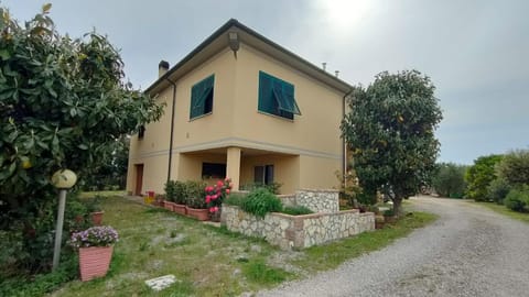 Property building, Garden, Garden view