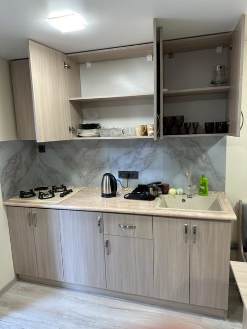 Coffee/tea facilities, Kitchen or kitchenette, minibar, stove