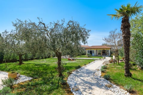 Patio, Garden, Garden view