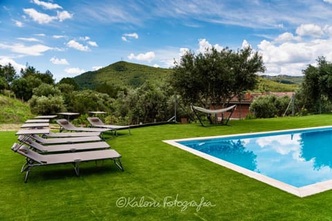 Spring, Day, Natural landscape, Garden, Garden view, Mountain view, Pool view, Swimming pool, sunbed