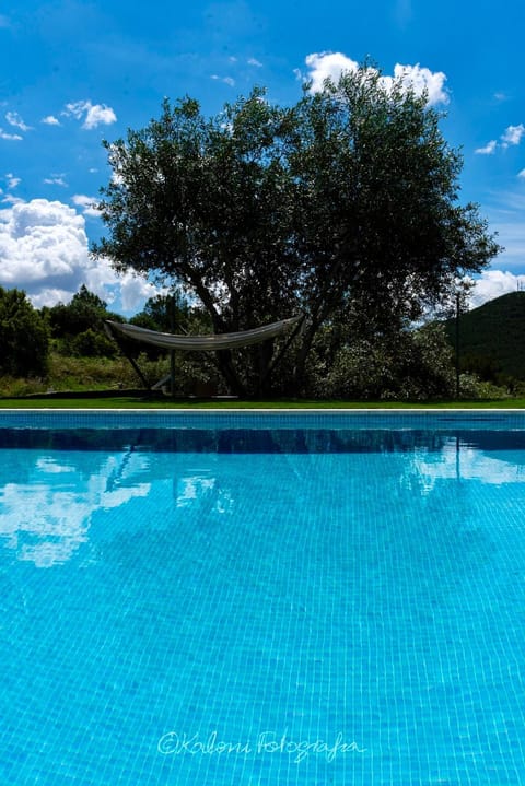 Day, Natural landscape, Mountain view, Pool view, Swimming pool