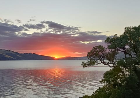 Luxurious waterfront accommodation Apartment in Dunedin