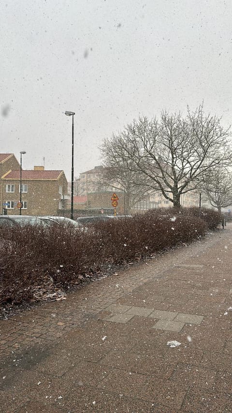 Property building, Day, Winter