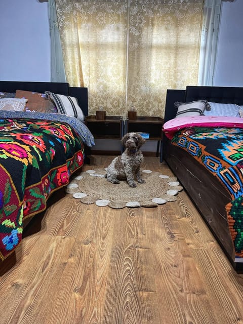 Bed, Photo of the whole room, Bedroom, Pets