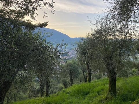 Spring, Day, Natural landscape, Mountain view