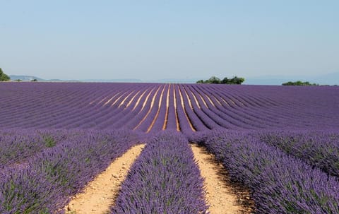 Prouvenço Vacation rental in Valensole