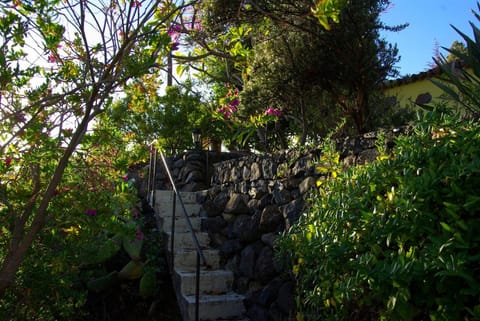 Garden, Garden view