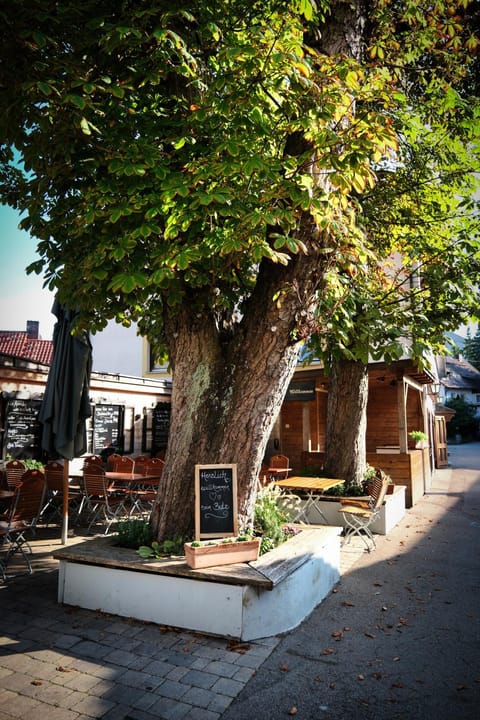 Garden, Garden view