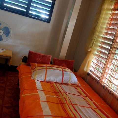 francia borjal 3-bedroom, 2 t&b shared apartment Bed and Breakfast in Puerto Princesa