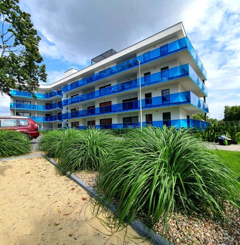 Property building, Spring, Day, Garden