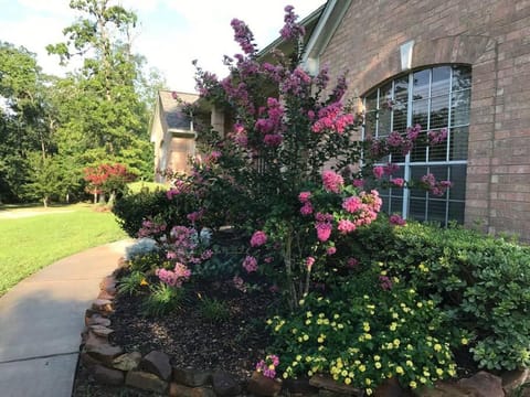 Property building, Spring