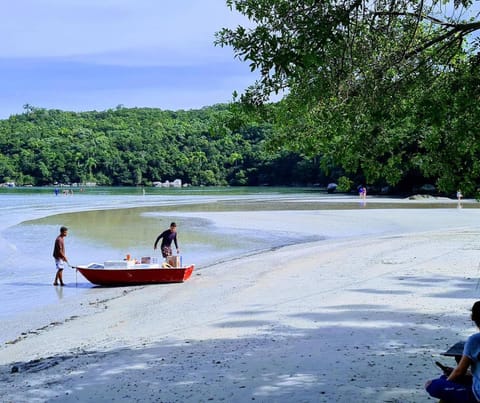 Beach, Beach