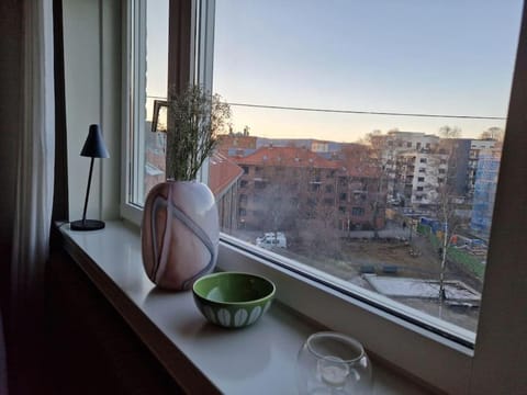 Private Apartment in Oslo Condo in Oslo