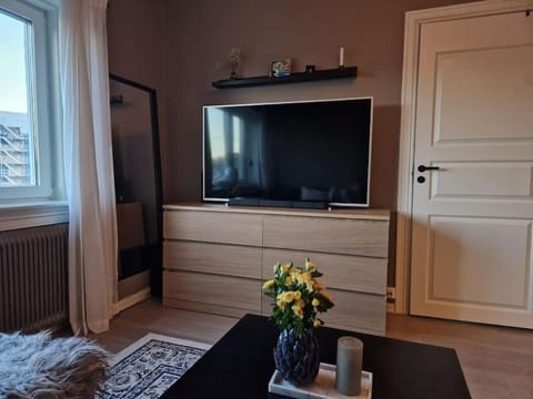 Private Apartment in Oslo Condo in Oslo
