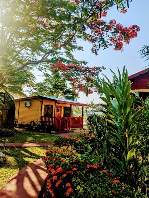 Property building, Garden view