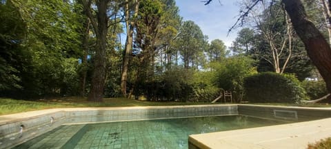 Natural landscape, Garden, Swimming pool