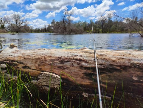 Natural landscape, Fishing, Lake view