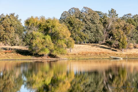 Lake view