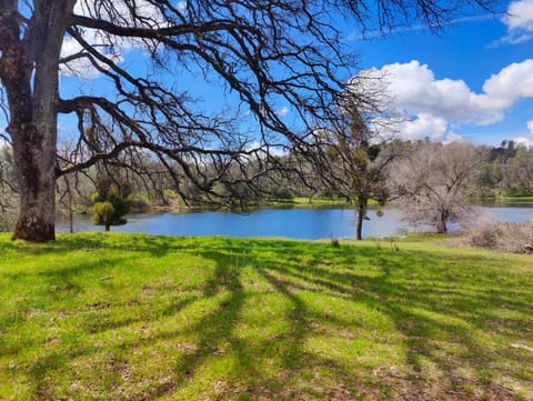 Natural landscape, Lake view