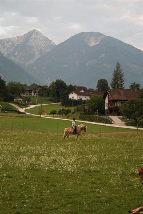 Bauernhof-Pension Puschnikhof Farm Stay in Carinthia, Austria