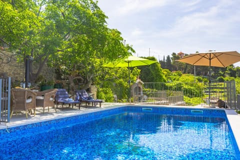 Garden, Garden view, Swimming pool, sunbed