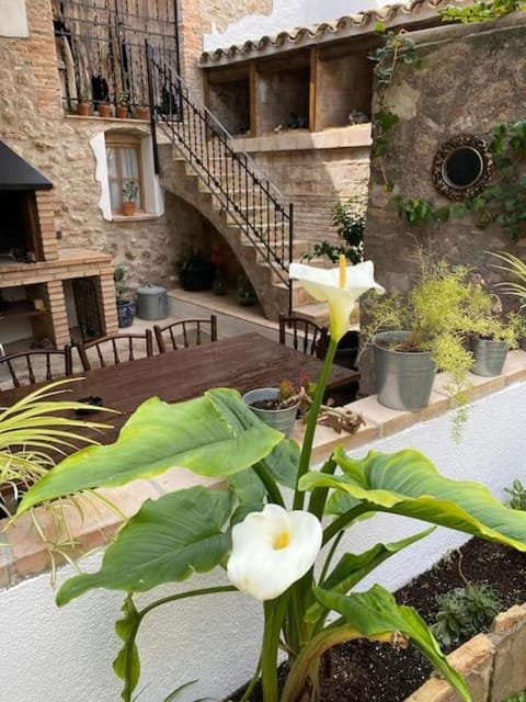 Patio, Garden