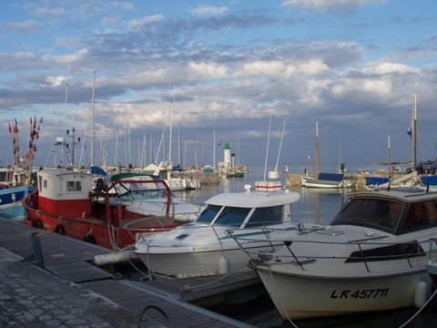 Natural landscape, Sea view