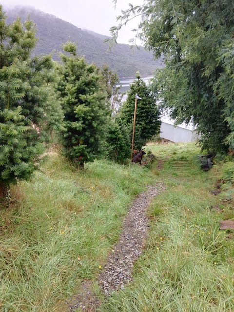 Property building, Facade/entrance, Garden