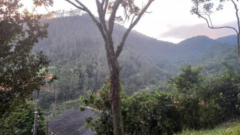 SÍTIO ALTO DA COLINA House in Nova Friburgo