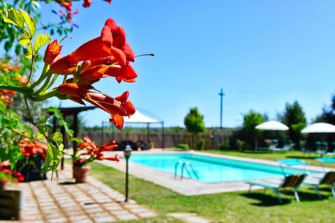 Ferienhaus für 20 Personen in Cortona, Trasimenischer See House in Umbria