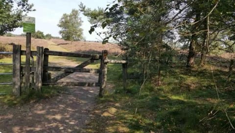 Heerlijk chalet midden in de natuur Chalet in Putten