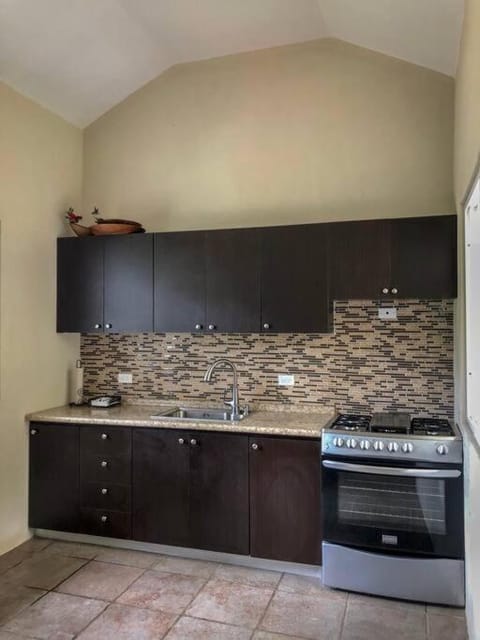 Kitchen or kitchenette, minibar, pet friendly, stove