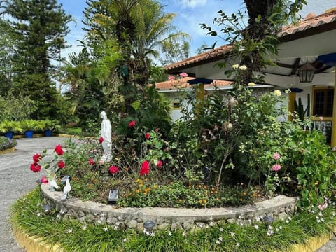 Property building, Garden, Garden view