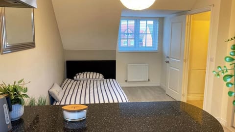 Studio one bedroom En-Suite with Kitchenette Bed and Breakfast in Bracknell