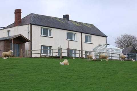 Cob Cottage House in Wales