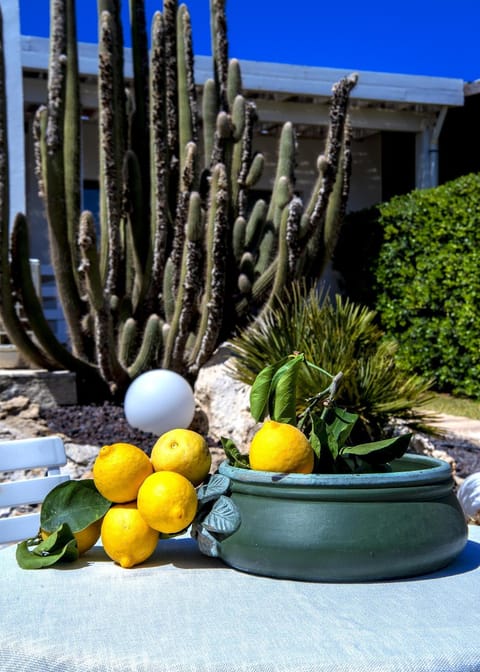 Garden, Garden view