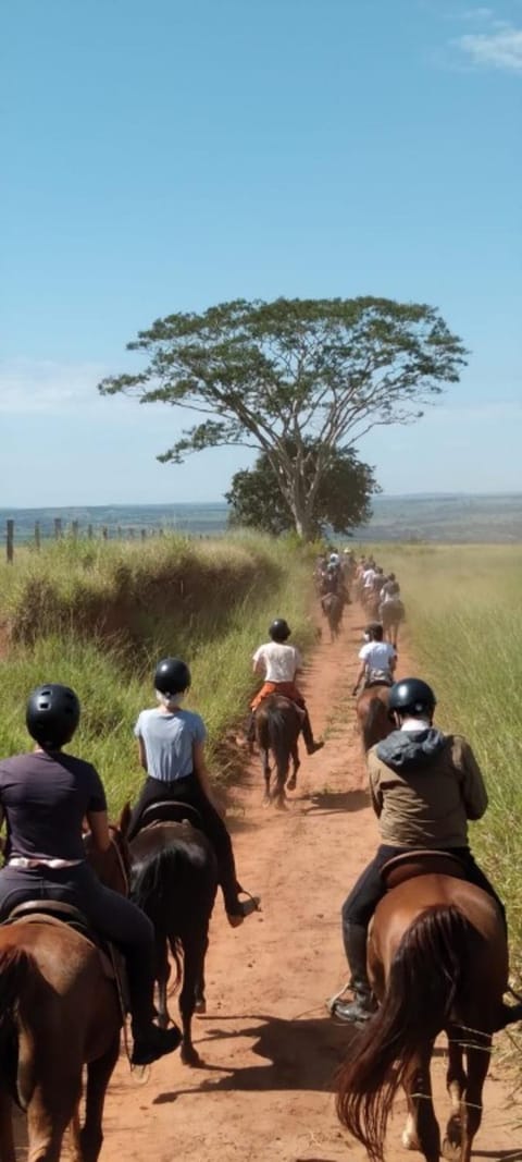 Day, People, Horse-riding, Animals, group of guests