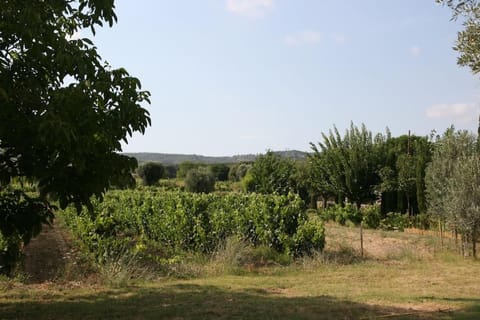 Bastide provençale pour 10 personnes avec Piscine en plein vignoble Villa in La Cadière-d'Azur