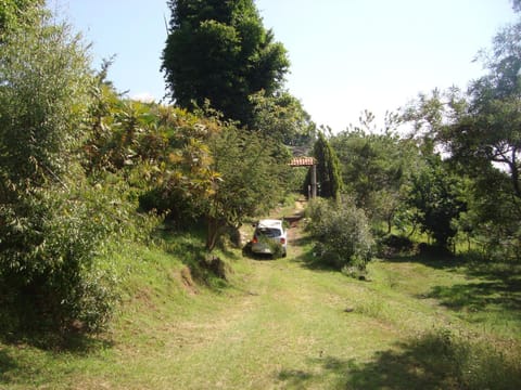 Posada Xamicalli Nature lodge in State of Morelos